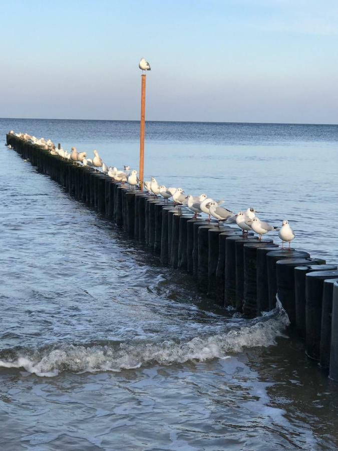 Apartament „Nova Polana” Kolobrzeg Polanki Park Eksteriør billede